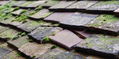 Llanrumney roof repair costs